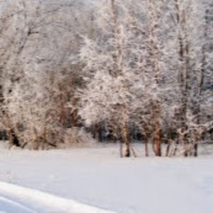 Meet your Posher, Tahmina